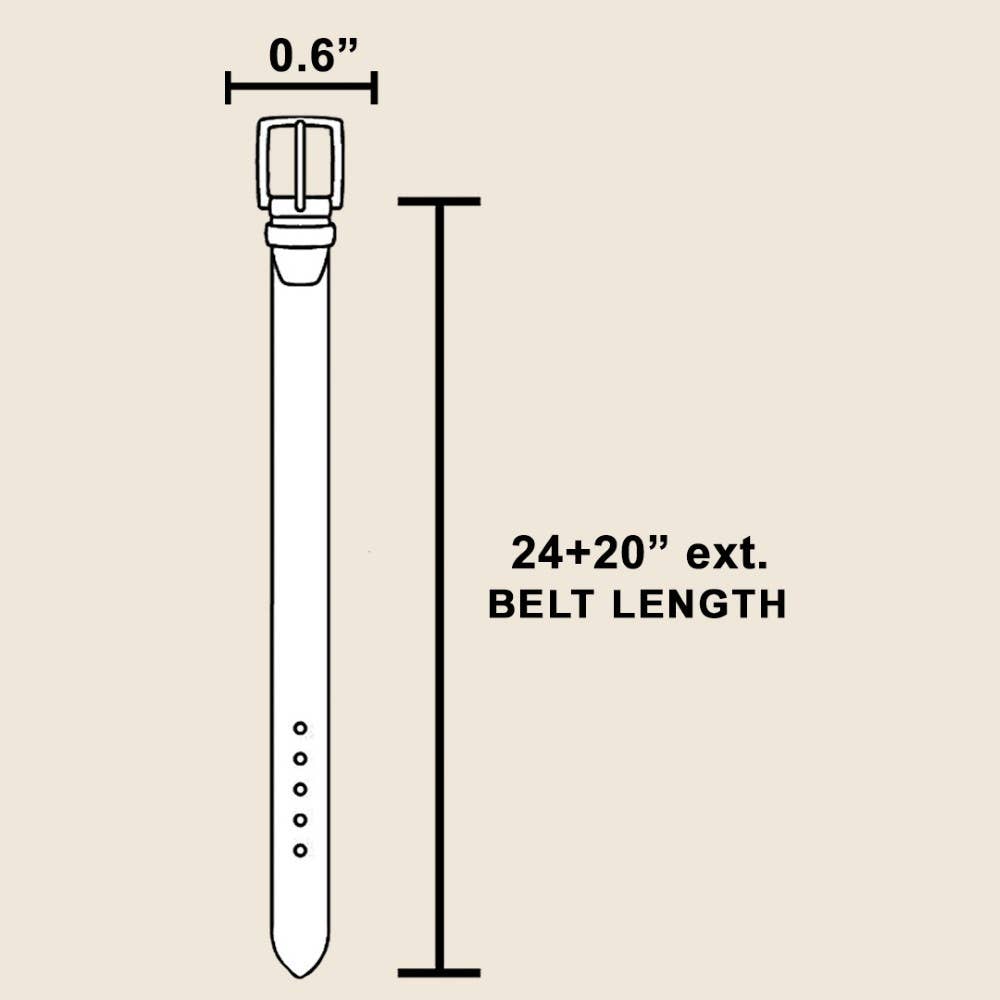 Double C Chain Link Belt | Gold or Silver