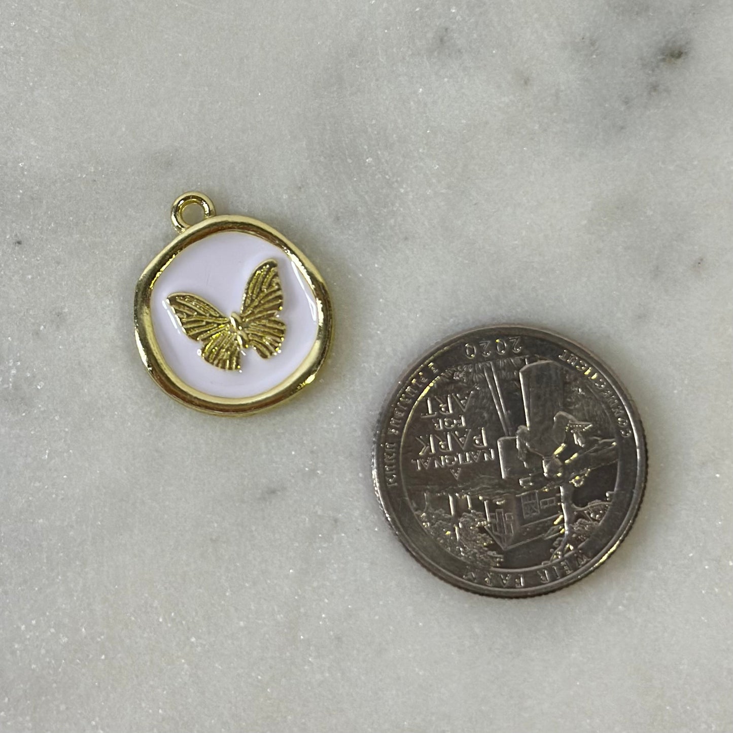 Colored Butterfly Coin Charm