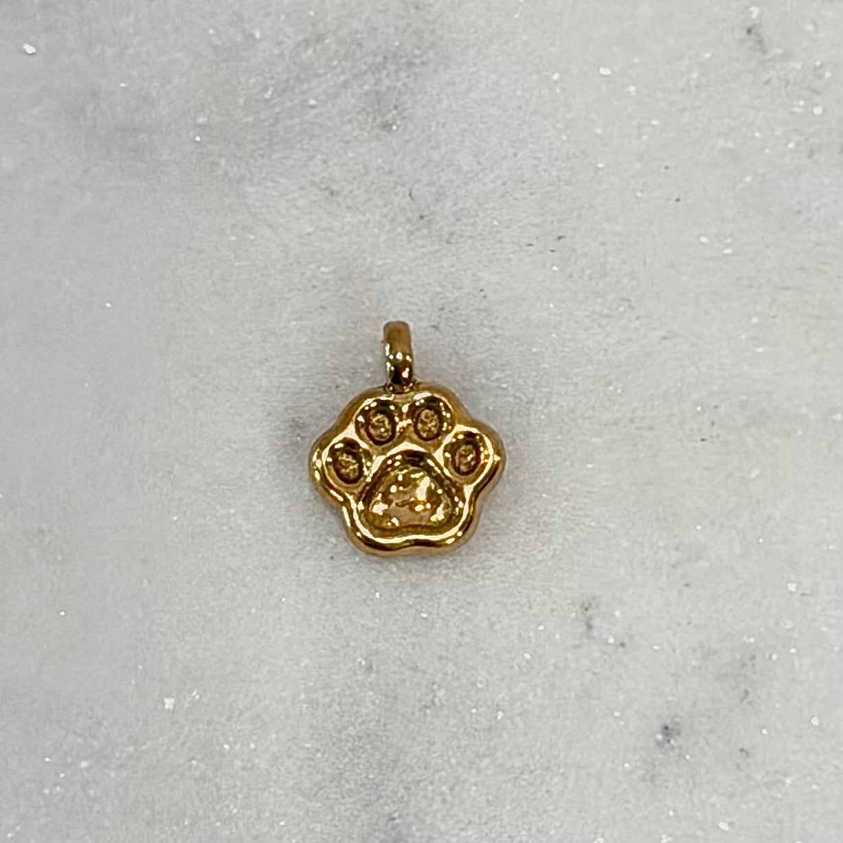 Imprinted Paw Charm | Gold